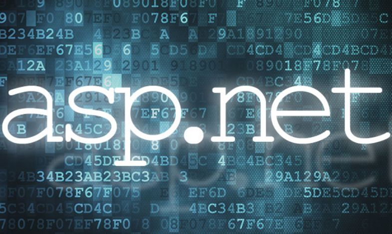 ASP.NET Development - RNipTech Solutions