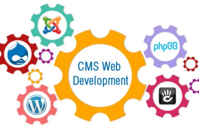 CMS Website Development - RNipTech Solutions