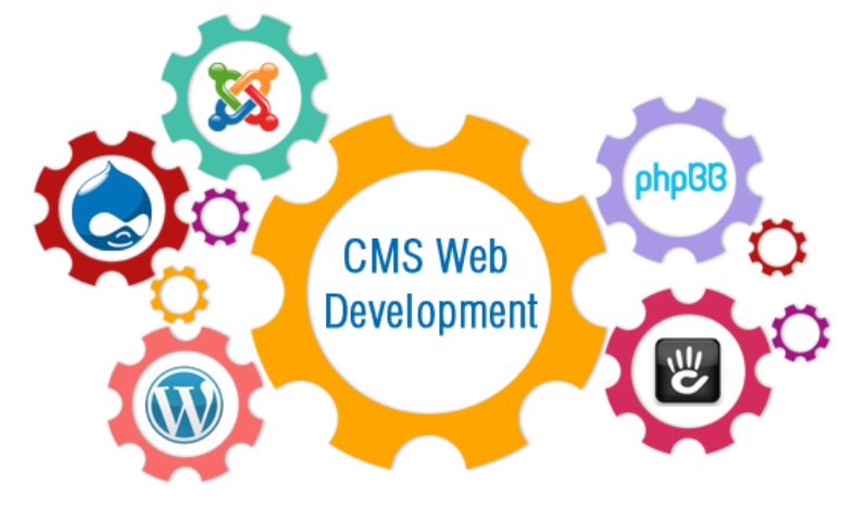 CMS Website Development - RNipTech Solutions
