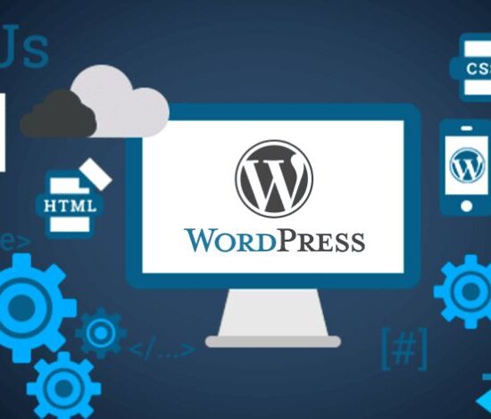 WordPress Development Company - RNipTech Solutions